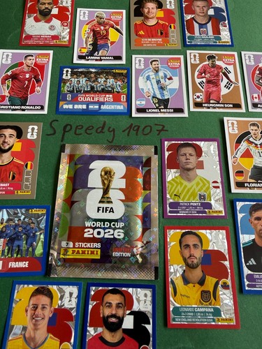Panini fifa world cup - panini, wm