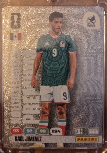 Panini wm26 adrenalyn raul - wm26,